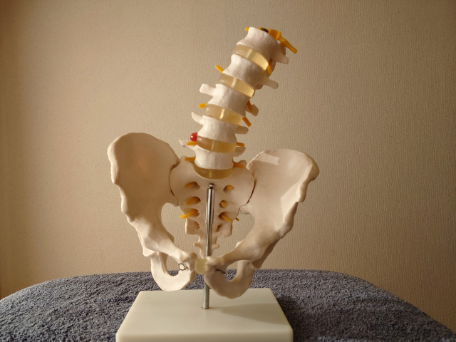 慢性腰痛についての説明
